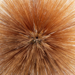 패트리샤 브레넌 Patricia Brennan	[Of the Near &amp; Far]   Pyroclastic Rec./2025